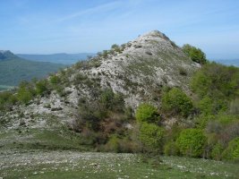 Ekialdeko bizkarra