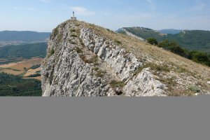 Tontorra