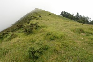 Ekialdeko bizkarra