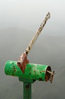 Buzoia