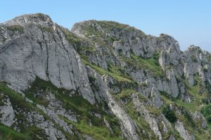Tontorra