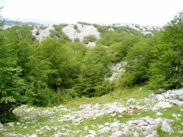 Itxina