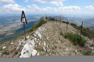 Tontorra