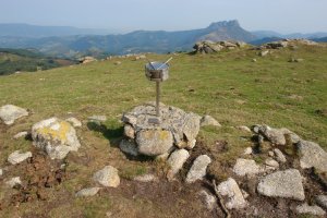 Tontorra