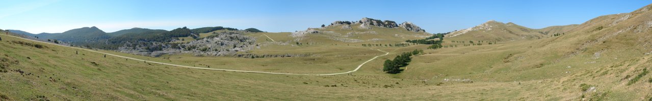 Urbia