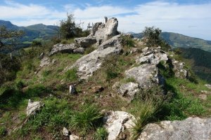 Tontorra