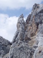 Bustamante orratza