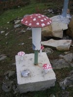 Buzoia