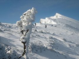 Ganeko  27-1-06