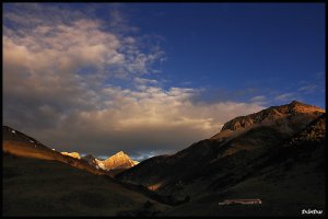 desde selva de oza