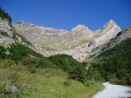 Pinetako zirkua