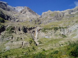 Cinca urjauzia