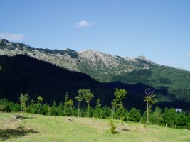 Ekialdetik ikusita