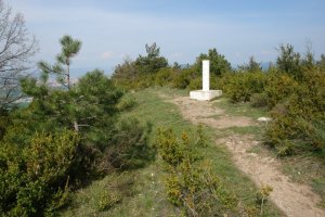 Malkaitz: tontorra