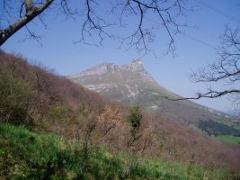 Tologorri