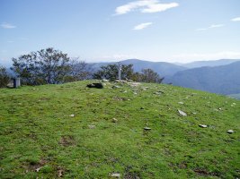 Urepel