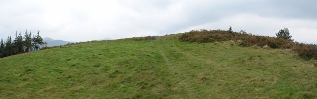 Tontorra