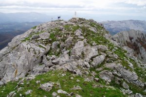 Tontorra