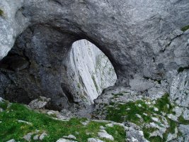 Bentaneta begia