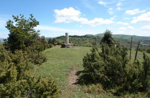 Tontorra