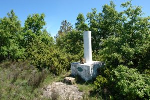 Tontorra