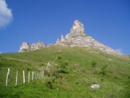 Tologorri