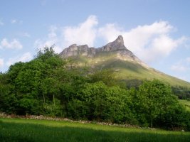 Tologorri