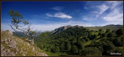 Urbia 