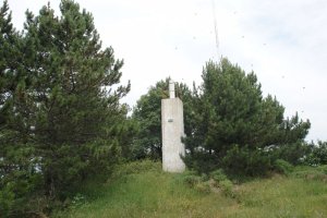Tontorra