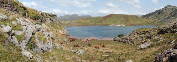 Estanes