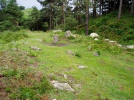 Burnaiztietako lepoko mairubaratzak