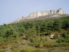 Hegoaldetik ikusita