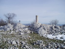 Tontorra