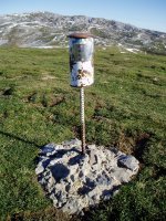 Errenagako buzoia