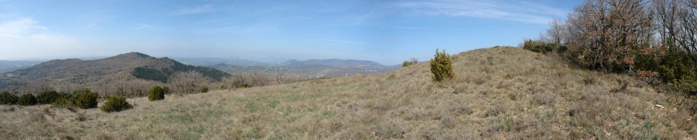 Tontorra
