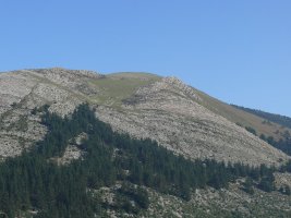 Eretza
