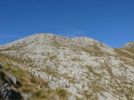 Tontorra