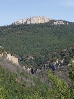 Aldu-Beortea