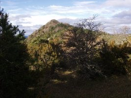 gailurra