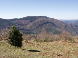 Baxa, iparraldetik