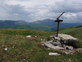 Txartelontzia