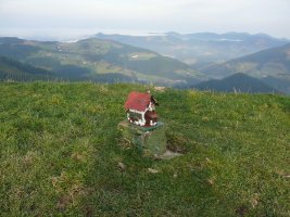 Buzoia