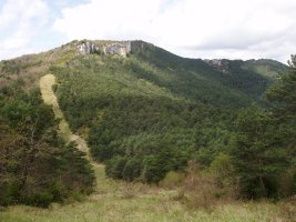 Ukua Arbasamenditik