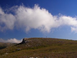 Tontorra