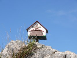 Buzoia