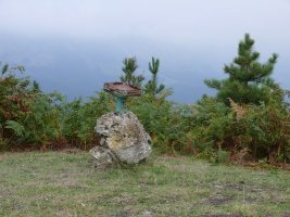 Buzoi Zaharra