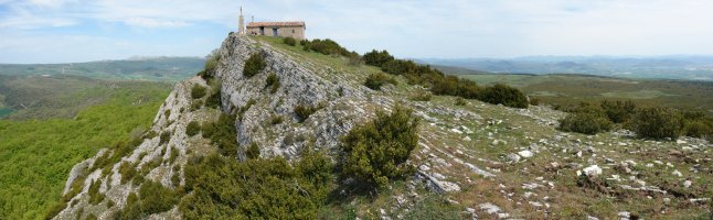 Tontorra