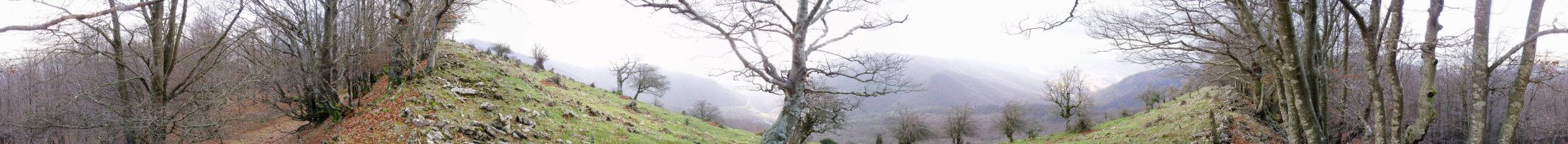 Mendebaldeko gandorrean 360ºtako ikuspegia