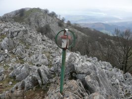 Buzoia
