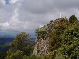 Gailurra